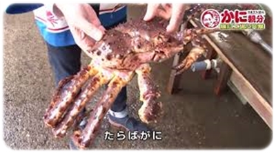 wakaura.com かに親分の通販は口コミ評判・評価