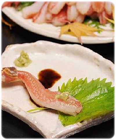 wakaura.com カニ 蟹 刺身用 通販まとめ